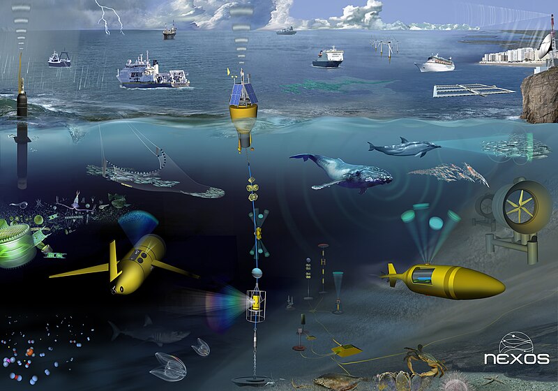  In situ Ocean Observation - Ocean Observing Systems and Sensors