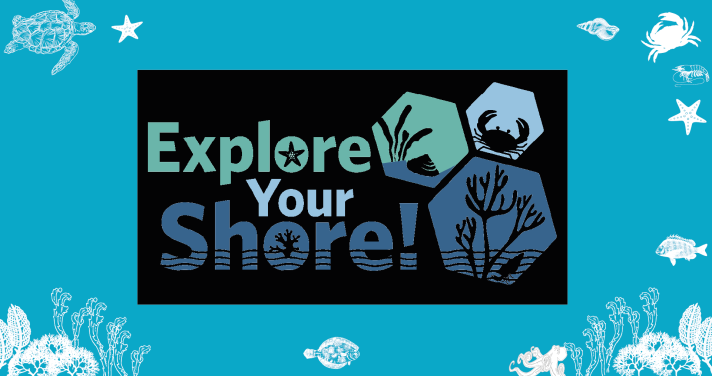 explore_your_shore.png