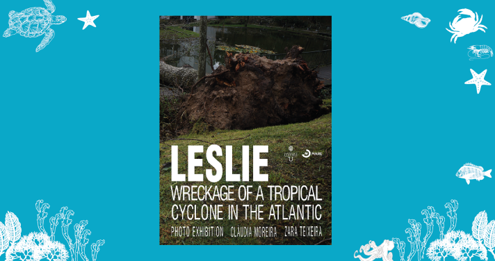 leslie_wreckage_of_a_tropical_cyclone_in_the_atlantic.png