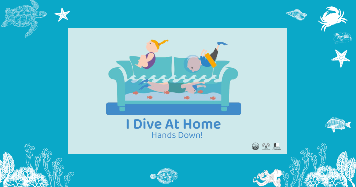 ol_hands_down_i_dive.png