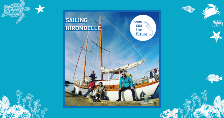 sailing_hirondelle.png