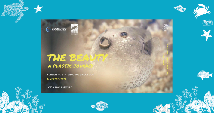 the_beauty_-_a_plastic_journey._interactive_session_and_animation_screening.png
