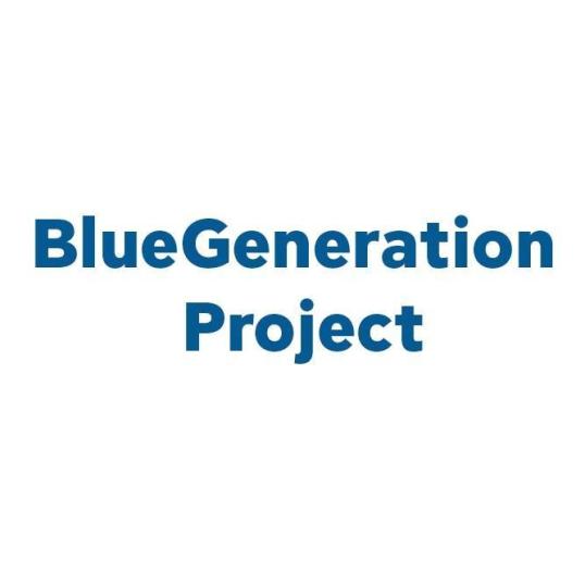 bluegeneration_writing_in_facebook.jpg