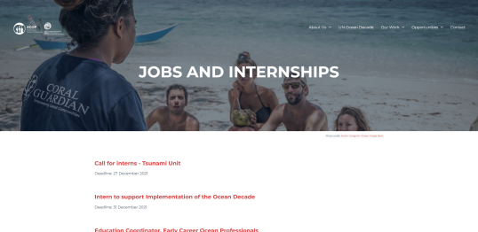 screenshot_2022-03-14_at_15-32-10_jobs_and_internships_-_ecop_programme.png