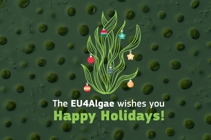 a Christmas tree made of algae with the message "EU4Algae wishes Happy Holidays"