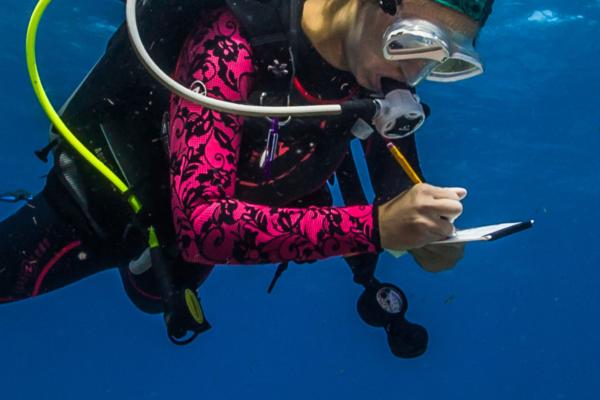 Diver taking notes underwater